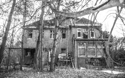 Reasons Property Deals Fall Through: The Surveyor Finds Defects