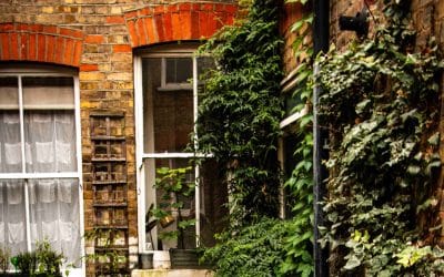 BUYING A PROPERTY – What’s The Right Type of Home Survey?