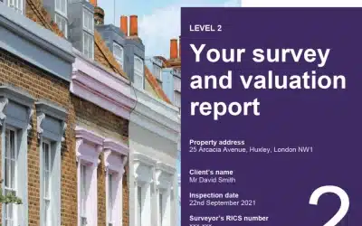 What Is a Homebuyers Survey?