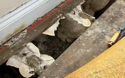 BBC reveals that 30,000 homes have been fitted with botched insulation under Government schemes